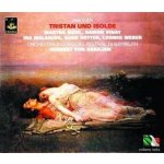 Wagner Richard - Tristan Und Isolde CD – Hledejceny.cz