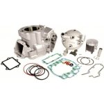 Athena YZ 250 LC | Zboží Auto