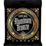 ERNIE BALL 2568 – Zboží Mobilmania