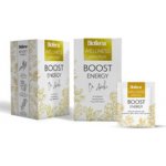 Biogena Wellness Boost Energy 20 x 1,8 g – Hledejceny.cz