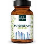 Unimedica Magnesium Komplex Premium 180 kapslí – Hledejceny.cz