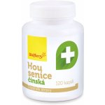 Wolfberry Housenice čínská Cordyceps sinensis 120 kapslí – Hledejceny.cz