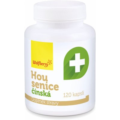 Wolfberry Housenice čínská Cordyceps sinensis 120 kapslí – Hledejceny.cz