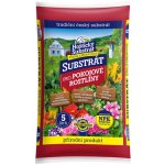 Forestina Hoštický Pro pokojové rostliny 5 l – Zboží Dáma