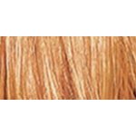 Sebastian Cellophanes barevný lesk medová blond 300 ml – Zboží Mobilmania