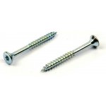 Univerzální vrut do dřeva 5x60/36 TORX zinek bílý, částečný závit – Hledejceny.cz