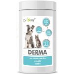 Dromy Derma 120 tbl – Hledejceny.cz