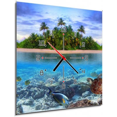 Obraz s hodinami 1D - 50 x 50 cm - Marine life at tropical island of Maldives Mořský život na tropickém ostrově Maledivy – Zboží Mobilmania