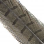 Hends Ocasní Pero z Bažanta Pheasant Tail Henon Grey – Hledejceny.cz