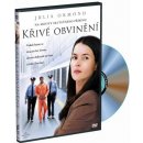 Křivé obvinění DVD