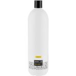 Caltha kosmetika Šampon tekutý proti lupům Zázvor 1l – Hledejceny.cz