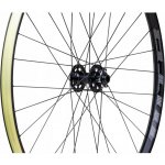 WTB PROTERRA Light – Zboží Dáma