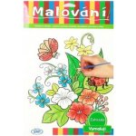 SMT Creatoys Malování auta omalovánky 12ks A4 s barvami a se štětcem na kartě – Zboží Dáma