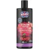 Šampon Ronney Color Repair Shampoo 300 ml