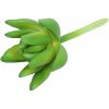 Umělý sukulent lotos Sedum 10 cm