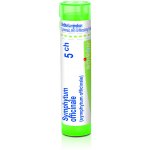 SYMPHYTUM OFFICINALE POR 5CH GRA 4G – Hledejceny.cz