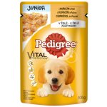 Pedigree Junior směs hovězího a jater 100 g – Hledejceny.cz