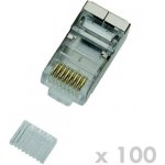 Datacom Plug UTP CAT6 8p8c- RJ45 drát - 100 pack – Hledejceny.cz