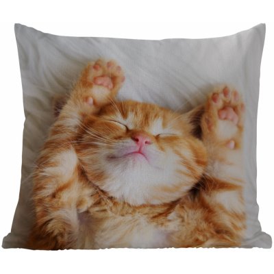 MuchoWow Vnější polštář Kočka červená Domácí mazlíčci kotě 50x50 – Zboží Mobilmania
