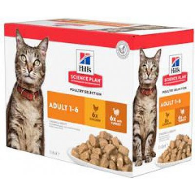 Hill's Feline Adult CH Turkey 12 x 85 g – Zboží Mobilmania