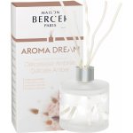 Maison Berger Paris Aroma Dream difuzér Delicate Amber Jemná ambra 180 ml – Zbozi.Blesk.cz