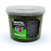 Invital Spirullina Chlorella flakes 3 l