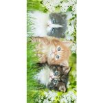 Carbotex Dětská osuška froté - CATLOVER SISTER se zelenou - 70x140cm – Sleviste.cz