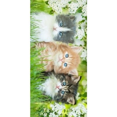 Carbotex Dětská osuška froté - CATLOVER SISTER se zelenou - 70x140cm