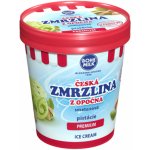 Bohemilk Premium Česká zmrzlina z Opočna Pistácie 460ml – Zbozi.Blesk.cz