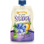 Ovocňák Mošt Jablko borůvka 250 ml – Hledejceny.cz