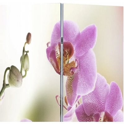 Meedo Skládací paraván 217 x 170 cm květina – Sleviste.cz