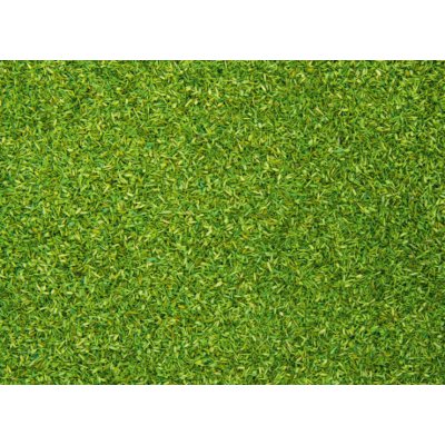 Noch Posyp světle zelený 08410 – Zboží Dáma