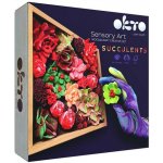 OKTO Passion Výtvarná modelovací sada sukulenty v dřevěném rámu 21x21 cm W034377 – Hledejceny.cz
