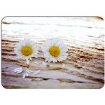 PokojovaDekorace.cz prostírání 166 Květiny 43x30cm – Zboží Dáma