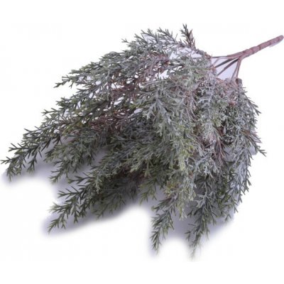 Canea Větvička túje zelenošedá 36cm – Sleviste.cz