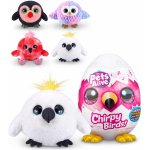 Asmodee Zuru Pets Alive Můj ptáček – Hledejceny.cz