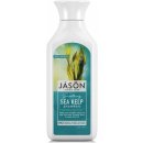 Jason šampon Mořská řasa 473 ml