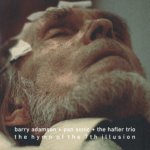 The Hymn of the 7th Illusion - Barry Adamson & Pan Sonic & The Hafler Trio LP – Hledejceny.cz