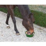 Delizia Liz pro koně Lick bronchial 6 kg – Hledejceny.cz