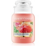 Yankee Candle Sun-Drenched Apricot Rose 623 g – Zboží Mobilmania