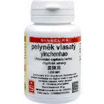 Sinecura Pelyněk vlasatý Yinchenhao extrakt 20 g – Hledejceny.cz