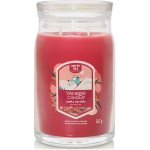 Yankee Candle Santa On Skis Signature 567 g – Zboží Dáma
