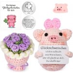 Esoes Pocket Hug Lucky Pig, Lucky Charm Exam Knitting Wool Pig Panenka Malé objetí Lucky Charm – Hledejceny.cz