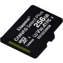 Kingston Canvas Select Plus microSDXC 256 GB SDCS2/256GBSP