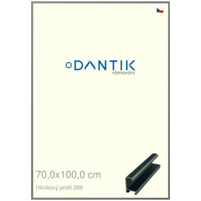DANTIK rámeček 70 x 100 profil 7269 Platina matná – Zboží Živě