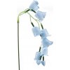 Květina Prima-obchod Umělá rostlina zvonek převislý, barva 3 modrá světlá