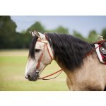 Randol Westernová uzdečka RANDOL'S Two Tone chestnut/natural – Zboží Dáma