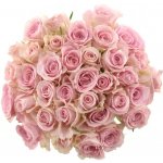 Kytice 35 růžových růží BABYFACE 60cm – Zboží Dáma