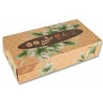 Linteo EKO papírové kapesníky krabička 2-vrstvé 100 ks – Zboží Dáma