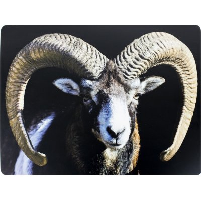 Mars & More 4ks pevné korkové prostírání beran 30x40x0,4cm – Hledejceny.cz